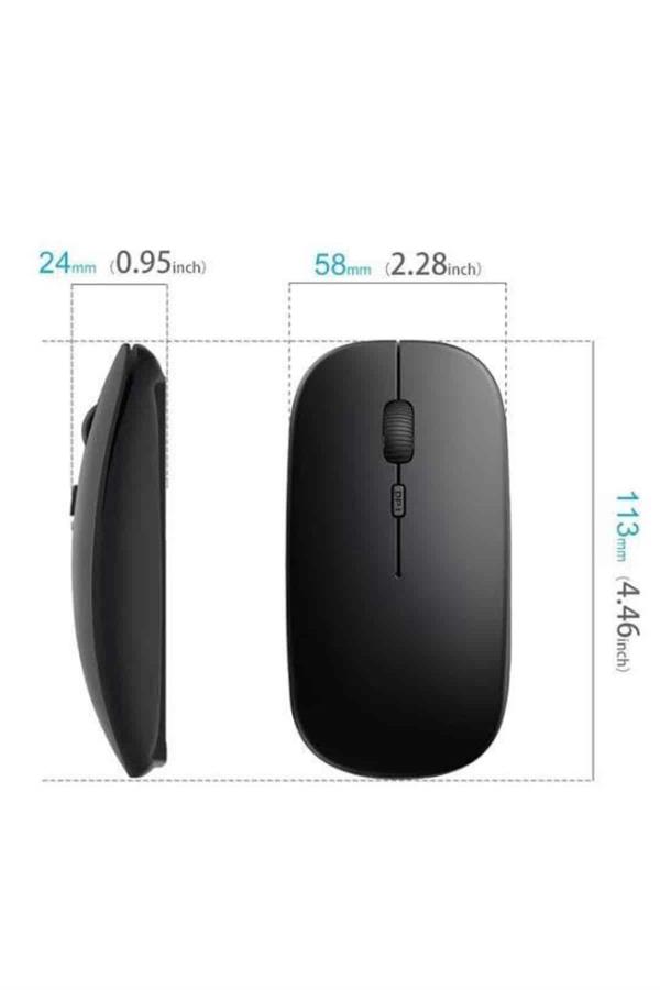 PG-908 MOUSE - Lisinya