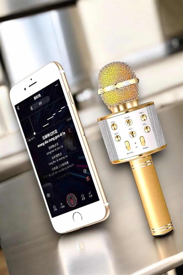 Şarjlı ve Uzun Pil Ömürlü Karaoke Mikrofon USB Bellek Destekli, Profesyonel Ses - Lisinya Şarjlı ve Uzun Pil Ömürlü Karaoke Mikrofon USB Bellek Destekli, Profesyonel Ses - Lisinya