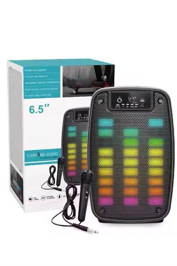 Taşınabilir 6.5 inç LED Bluetooth Kareoke Hoparlör RGB Işıklı Radyolu - Lisinya