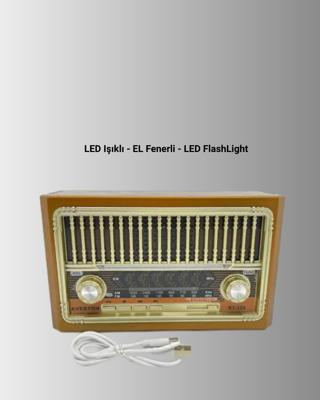 Radyo Destekli Hoparlör - Lisinya