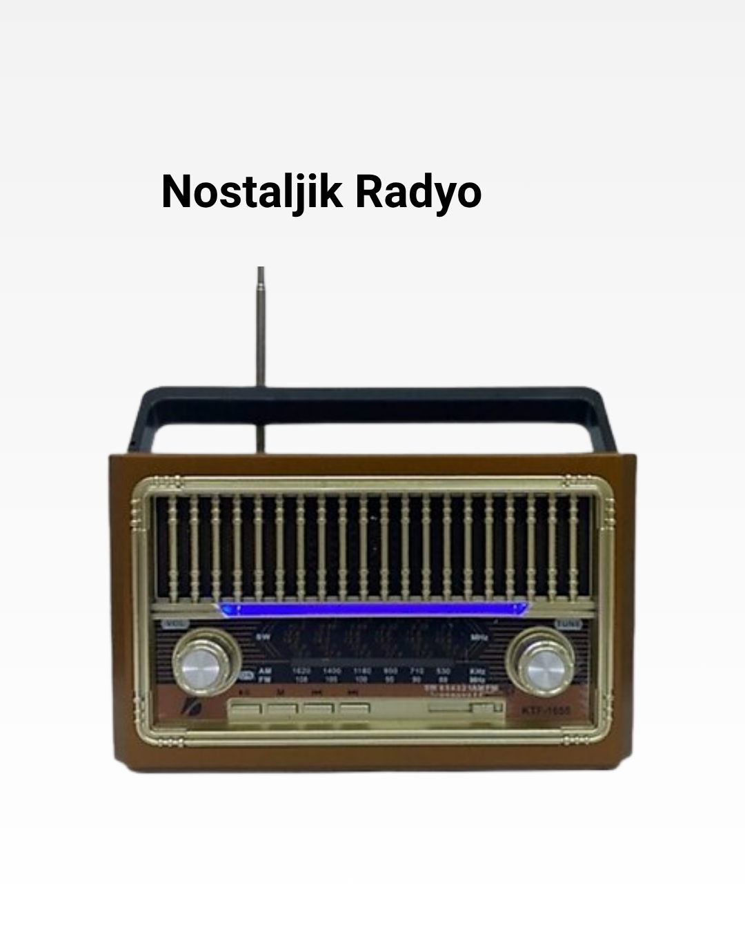 Radyo Destekli Hoparlör - Lisinya