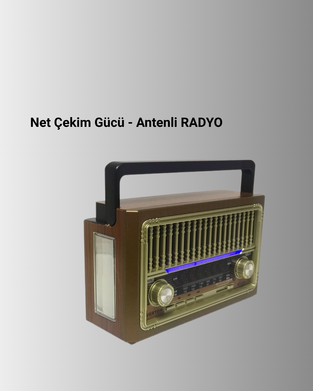 Radyo Destekli Hoparlör - Lisinya