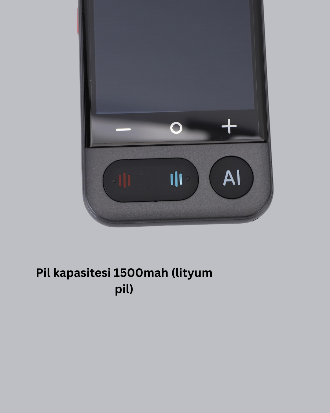 Sesli Çeviri Cihazı - Lisinya