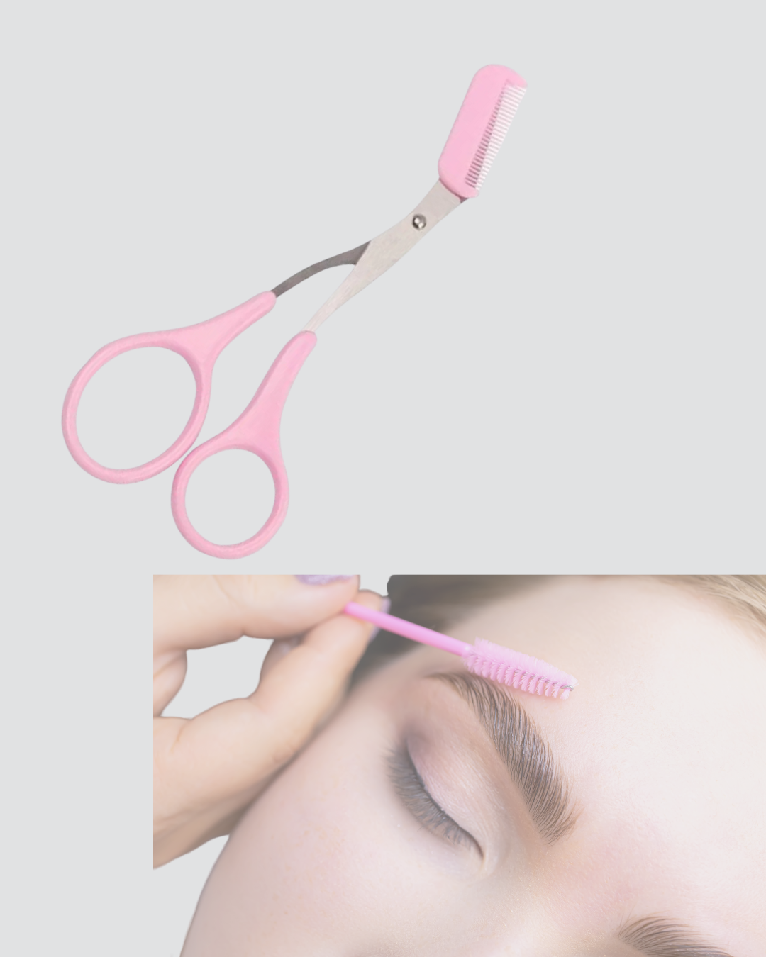 Taraklı Kaş Makası - Lisinya