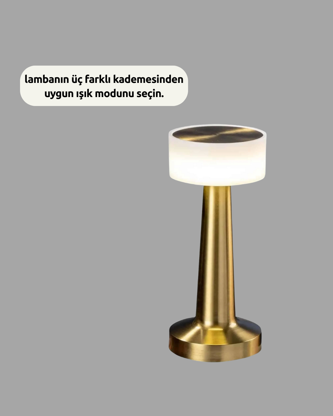 Şarj Edilebilir LED Masa Lambası – USB Girişli, Metal Yapı - Lisinya