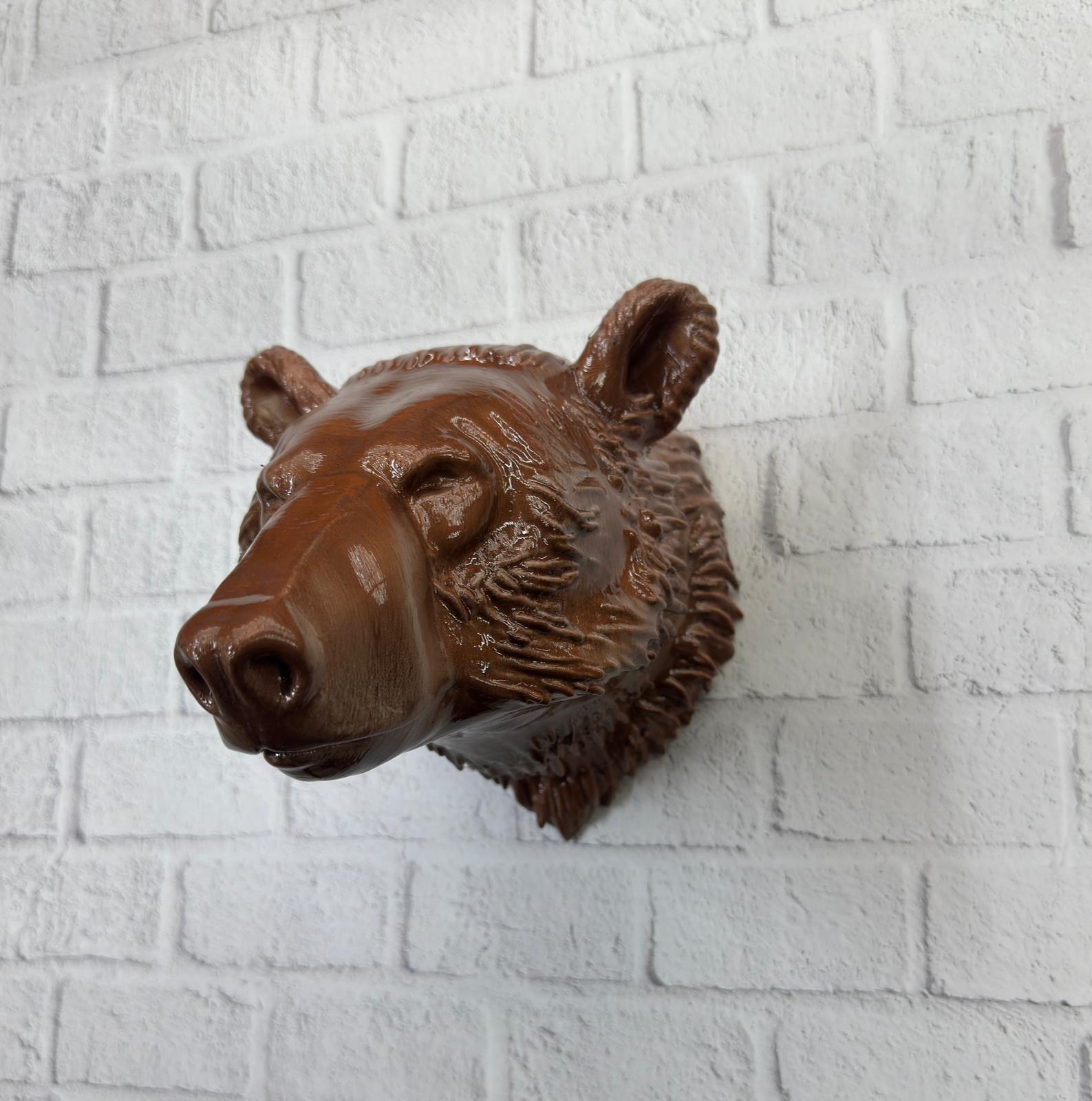 KAHVERENGİ AYI - Lisinya KAHVERENGİ AYI - Lisinya