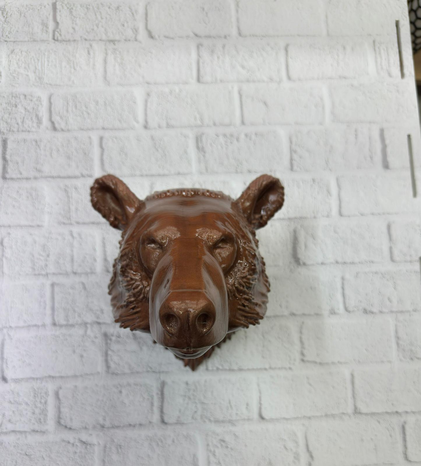 KAHVERENGİ AYI - Lisinya KAHVERENGİ AYI - Lisinya