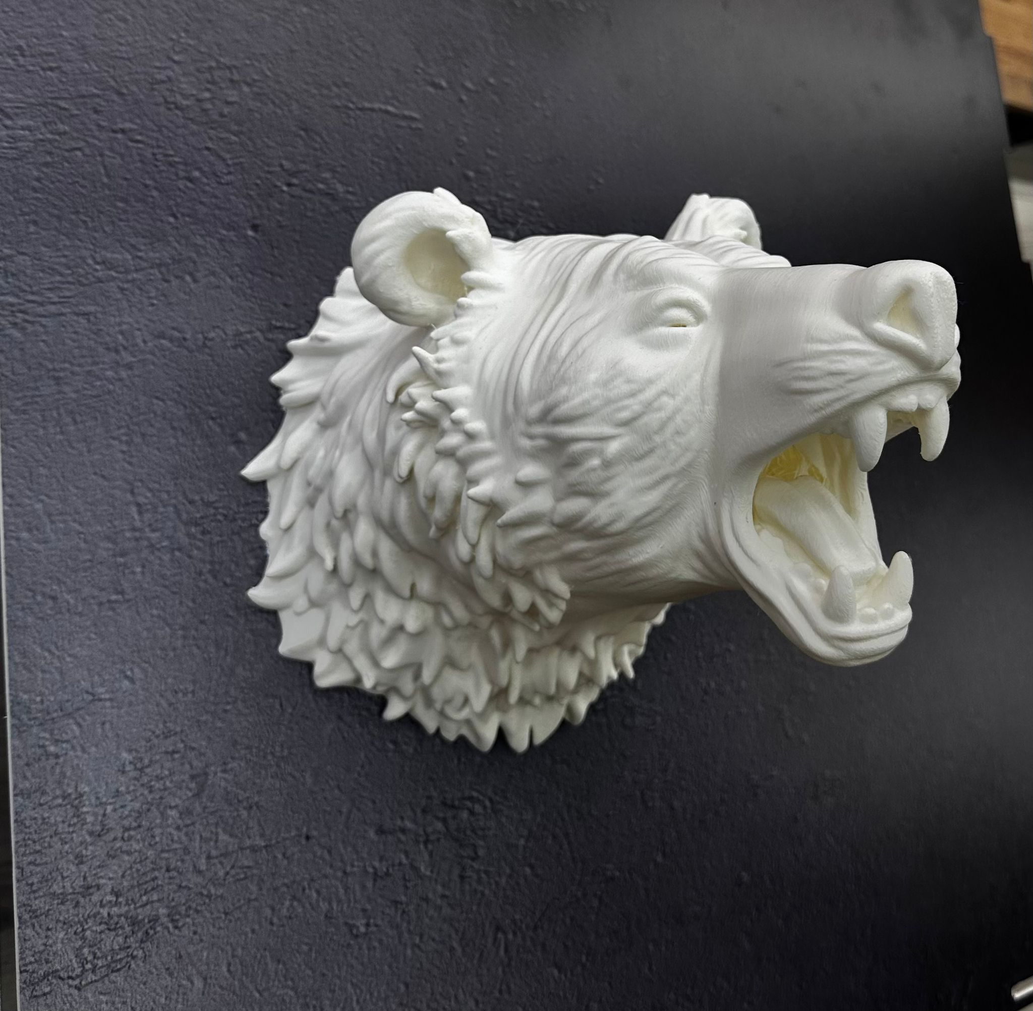 Beyaz Renk 3D Ayı Başı Duvar Dekoru - Lisinya Beyaz Renk 3D Ayı Başı Duvar Dekoru - Lisinya