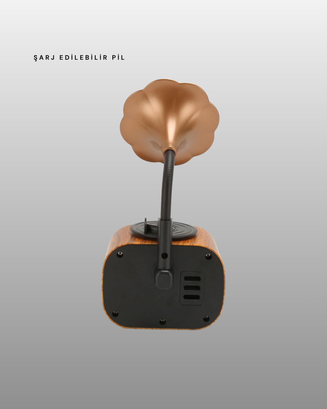 Kablosuz Retro Radyo Hoparlör 5W Güçlü Ses USB Hafıza Kart Destekli - Lisinya Kablosuz Retro Radyo Hoparlör 5W Güçlü Ses USB Hafıza Kart Destekli - Lisinya