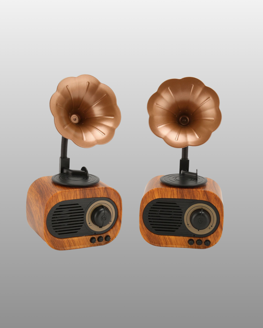Kablosuz Retro Radyo Hoparlör 5W Güçlü Ses USB Hafıza Kart Destekli - Lisinya Kablosuz Retro Radyo Hoparlör 5W Güçlü Ses USB Hafıza Kart Destekli - Lisinya