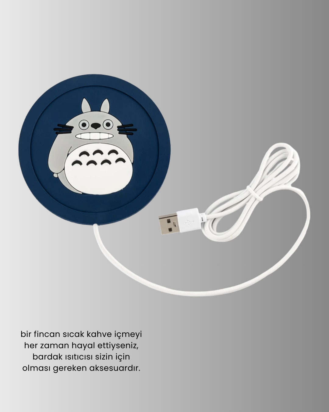 USB BARDAK ISITICI - Lisinya