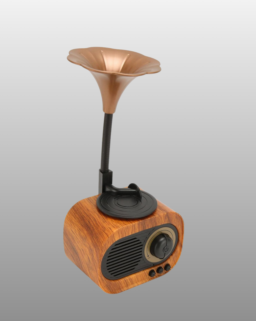 Kablosuz Retro Radyo Hoparlör 5W Güçlü Ses USB Hafıza Kart Destekli - Lisinya Kablosuz Retro Radyo Hoparlör 5W Güçlü Ses USB Hafıza Kart Destekli - Lisinya