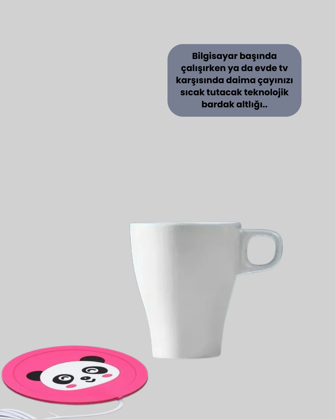 USB BARDAK ISITICI PANDA - Lisinya