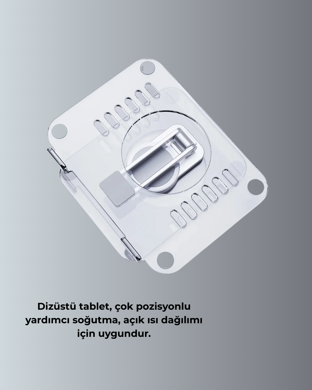 TABLET TUTUCU - Lisinya