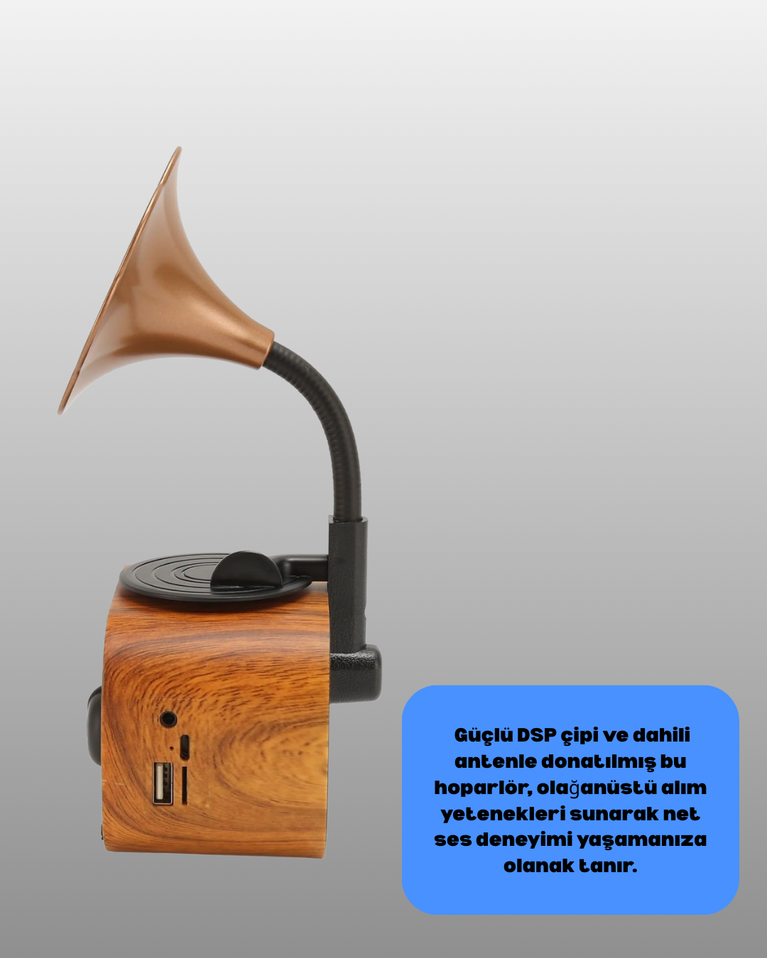 Kablosuz Retro Radyo Hoparlör 5W Güçlü Ses USB Hafıza Kart Destekli - Lisinya Kablosuz Retro Radyo Hoparlör 5W Güçlü Ses USB Hafıza Kart Destekli - Lisinya