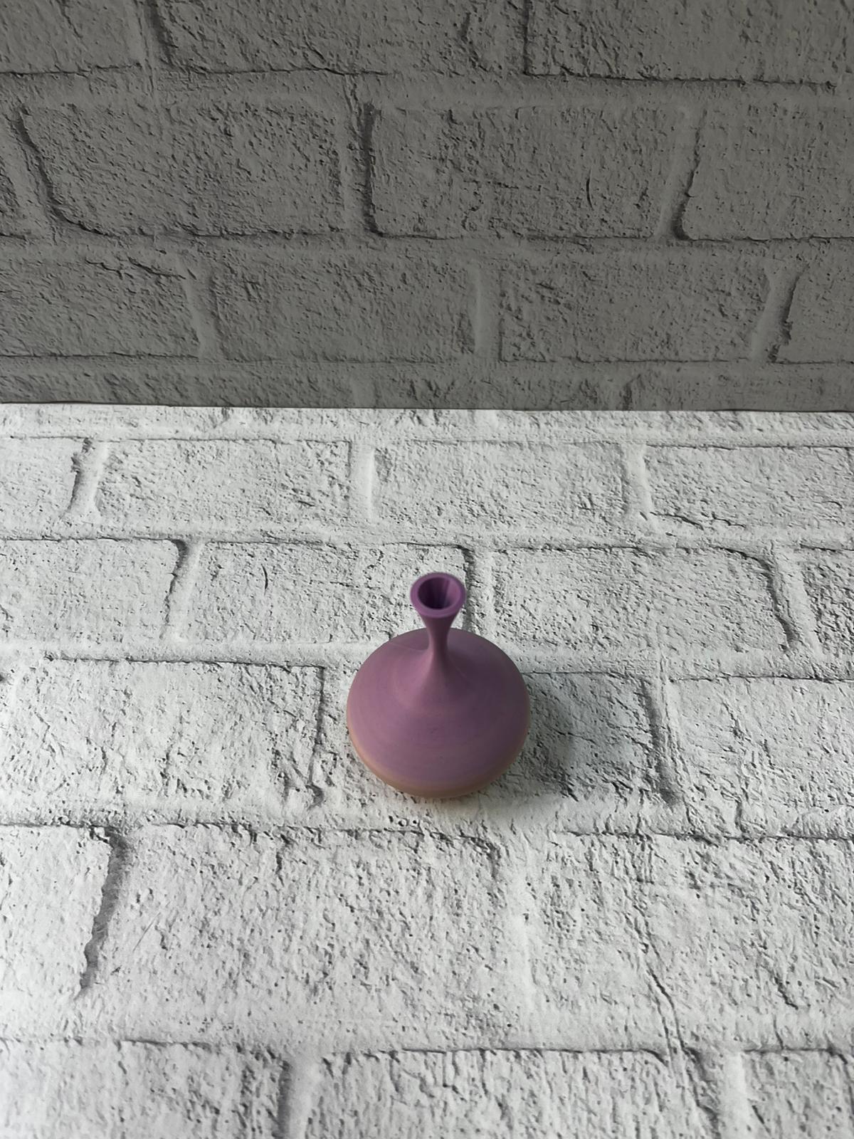 MİNİ RAİNBOW VAZO - Lisinya