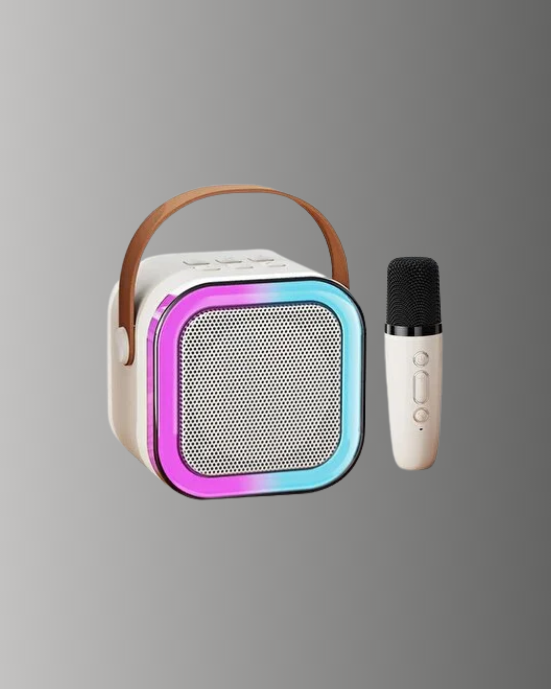 TEK MİKROFONLU KAREOKE - Lisinya