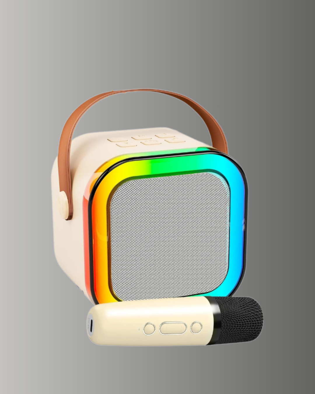 TEK MİKROFONLU KAREOKE - Lisinya