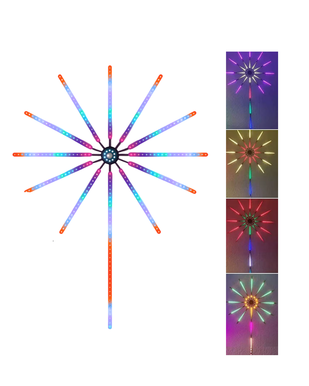 DP226 IŞIK - Lisinya