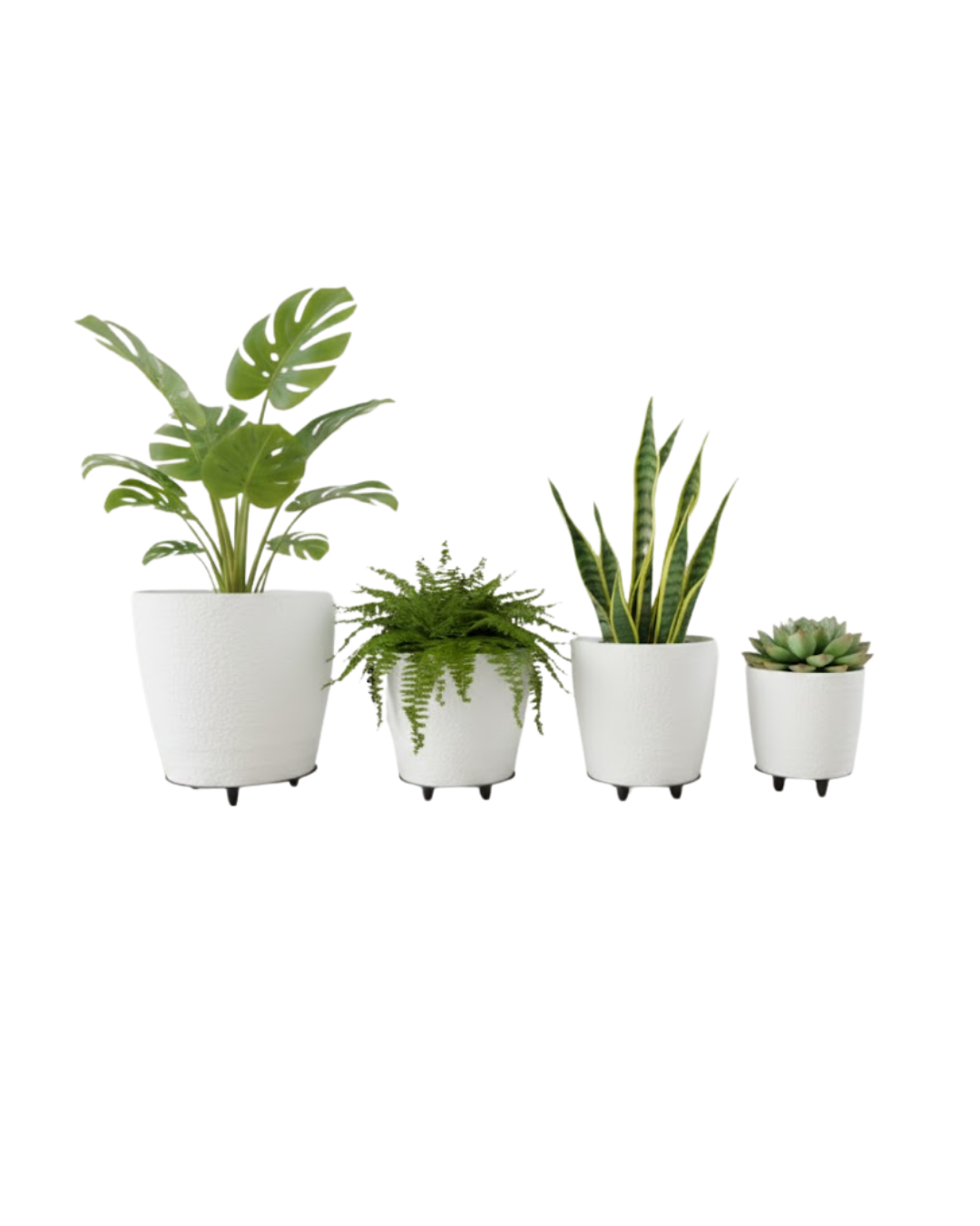 4LÜ VAZO BEYAZ - Lisinya