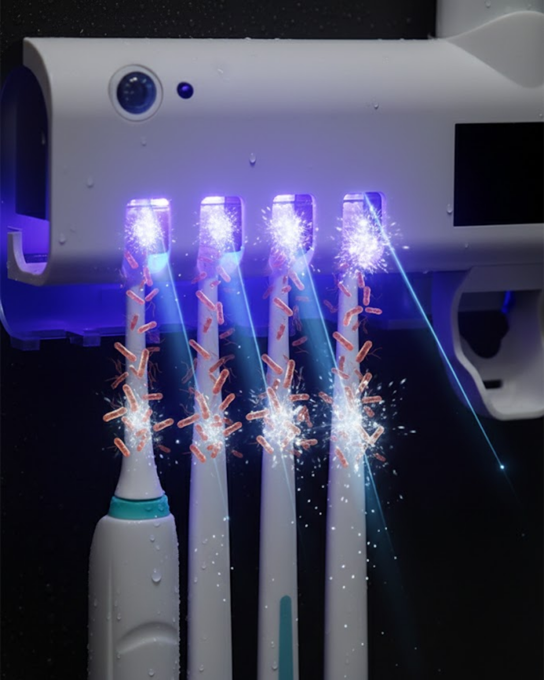 FV568 Diş Fırçası Tutucu - Lisinya FV568 Diş Fırçası Tutucu - Lisinya