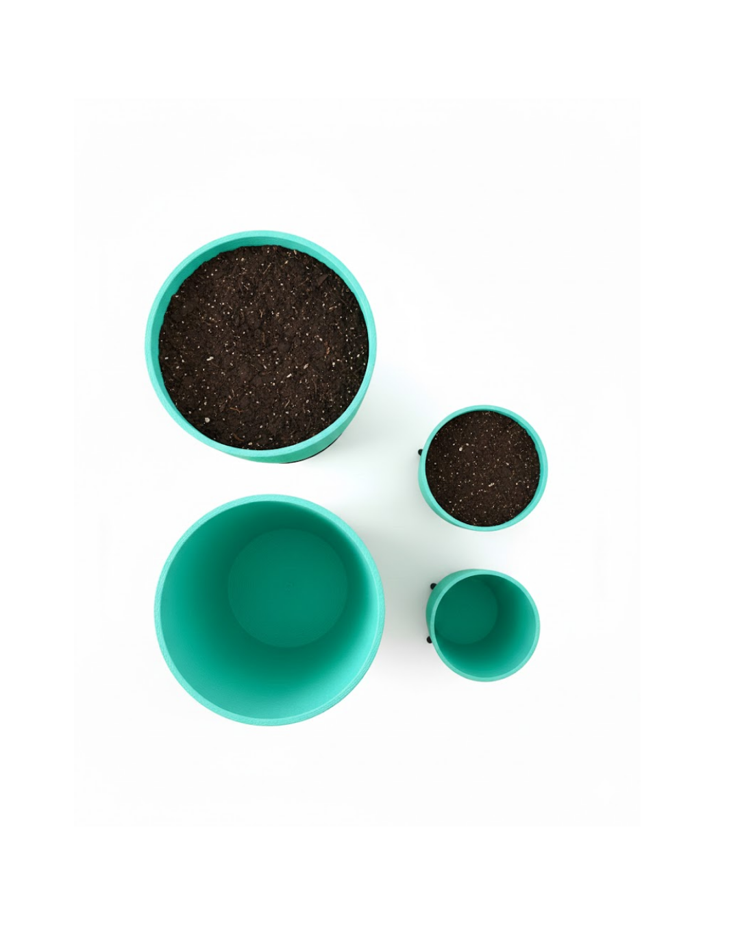 4LÜ VAZO YEŞİL - Lisinya