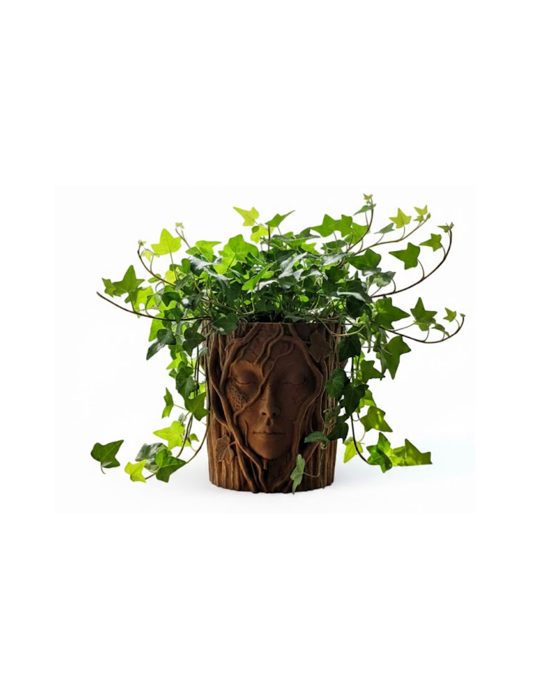 3D Ağaç Gövdesi Formlu Yüz Figürlü Dekoratif Saksı Sanatsal Tasarım Vazo - Lisinya