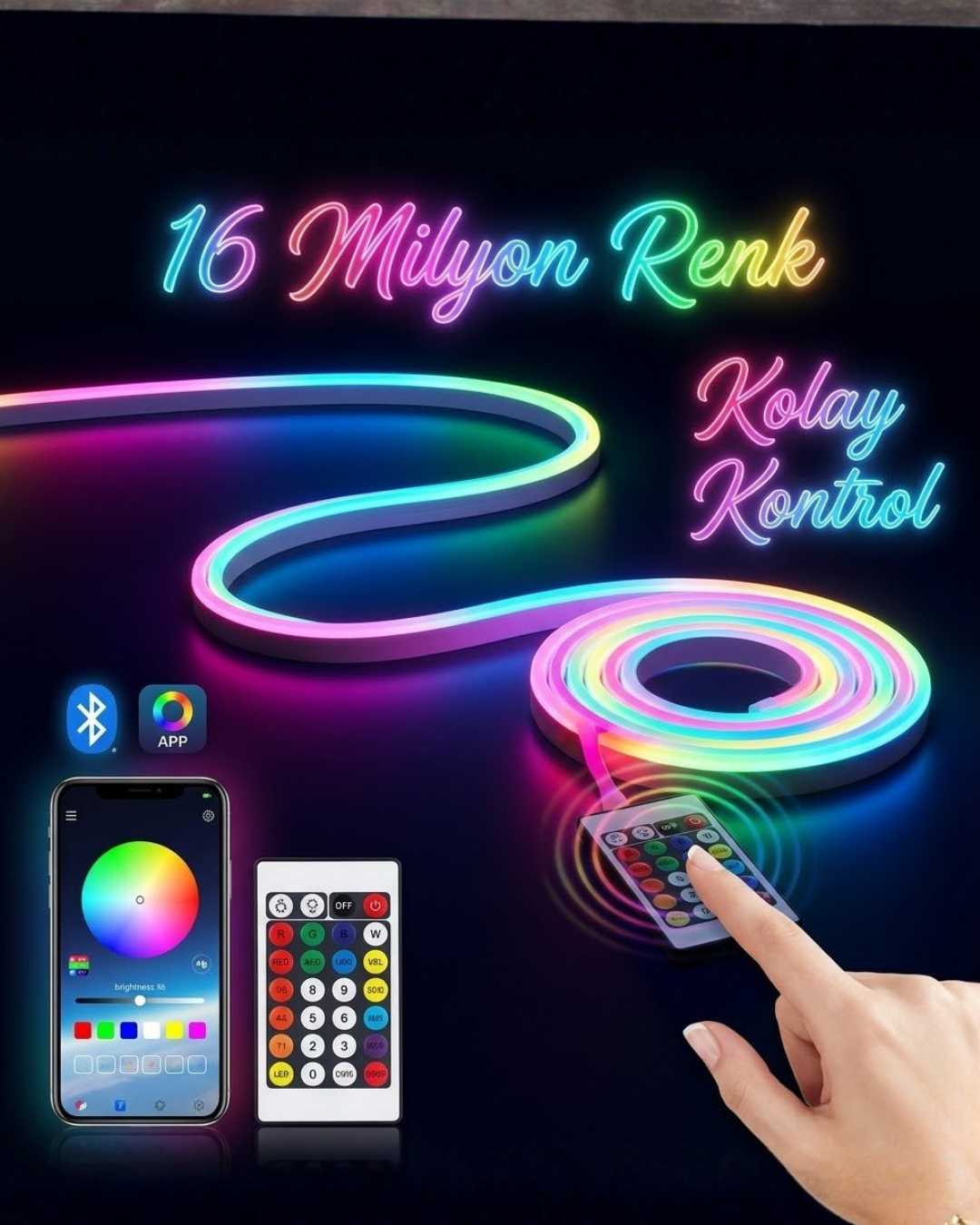 3M TV LEDİ - Lisinya