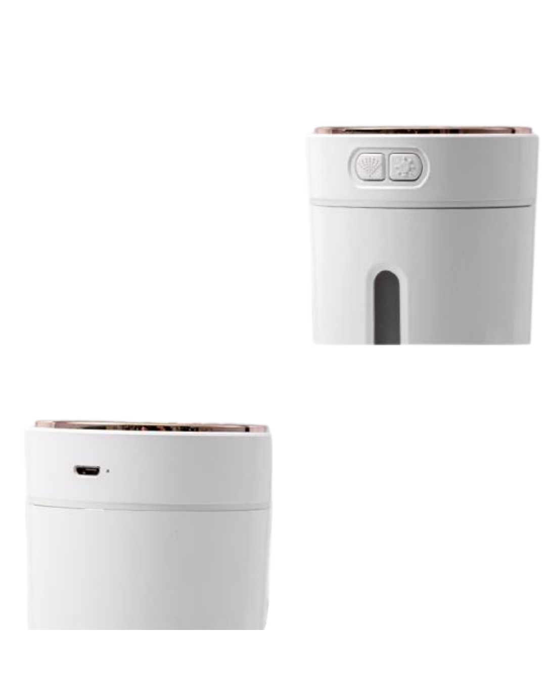 0618 NEMLENDİRİCİ - Lisinya