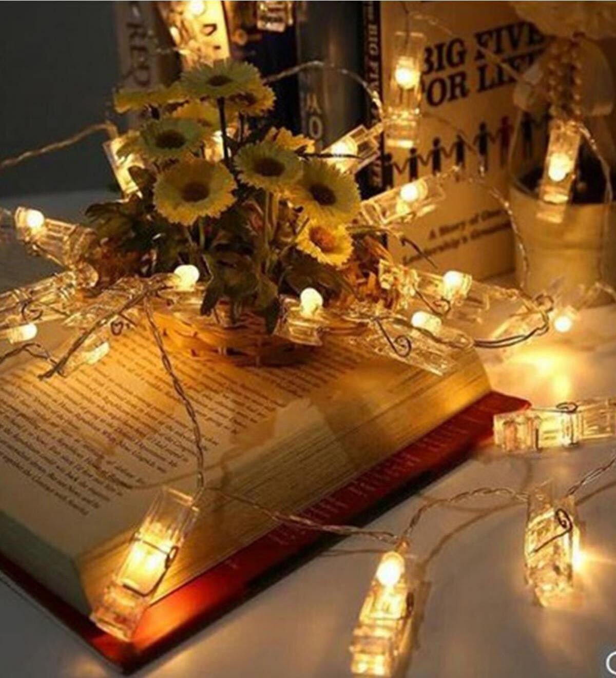 Işıklı Mandallı Fotoğraf Albümü 20li - Lisinya Işıklı Mandallı Fotoğraf Albümü 20li - Lisinya