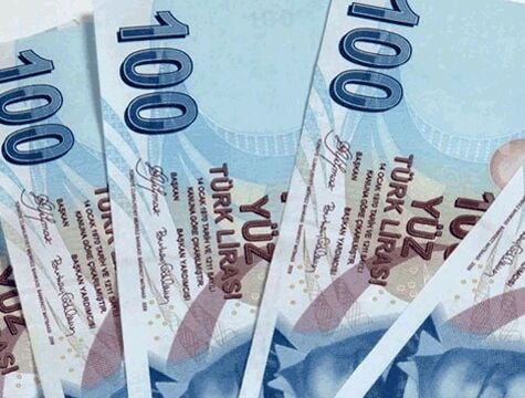 Şaka Parası - 100 Adet 100 TL - Lisinya