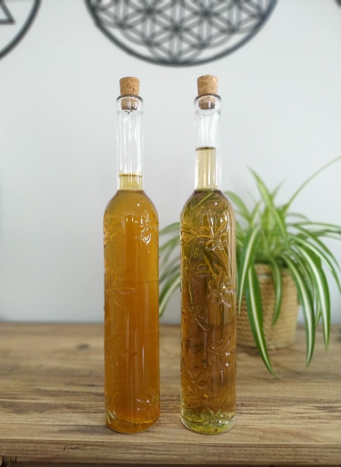 Toskana Yağdanlık - Sirkelik Şişe - Lisinya