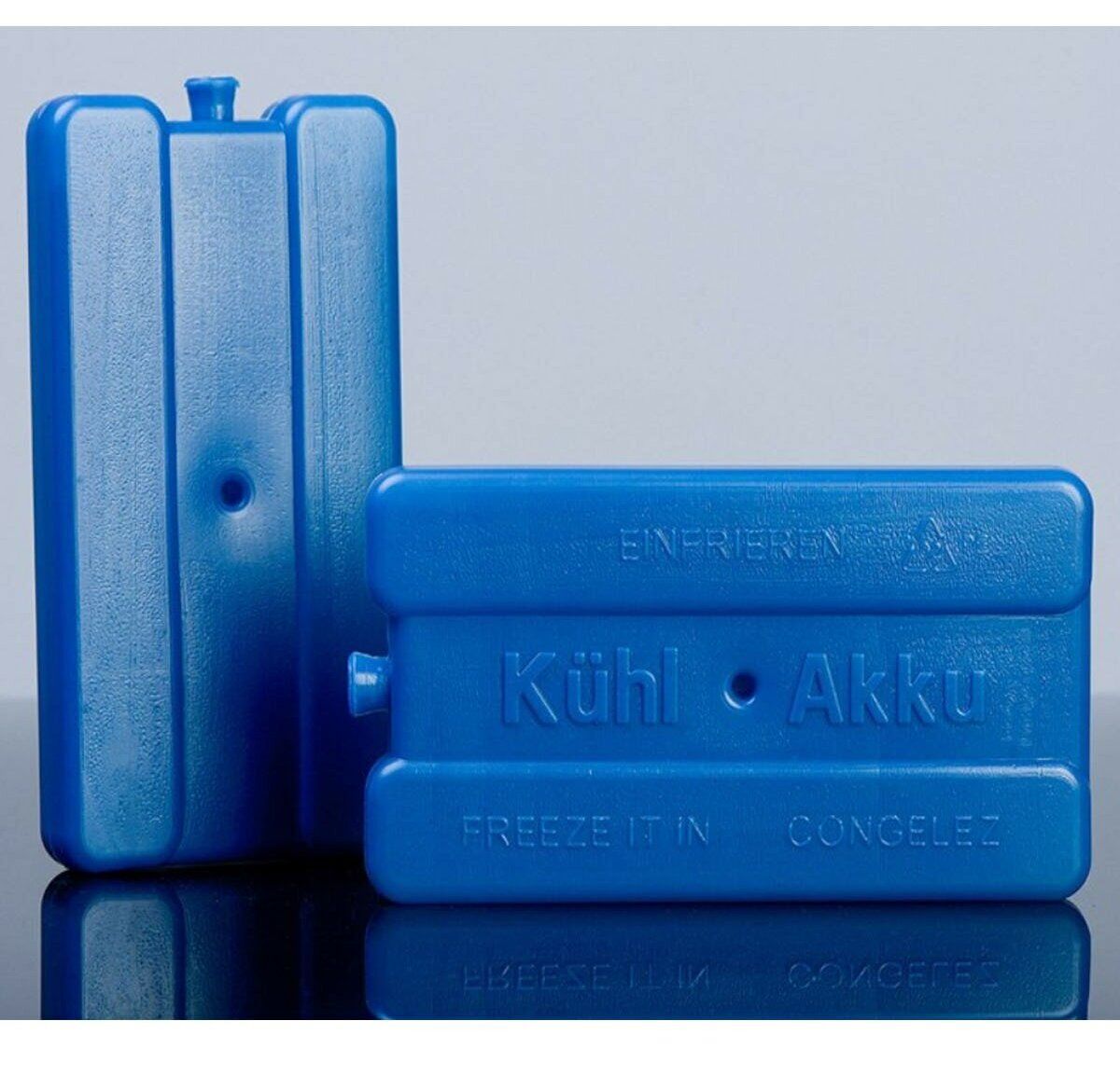 Termos Çanta - Piknik Çantası Buz Aküsü Hediyeli 24LT - Lisinya