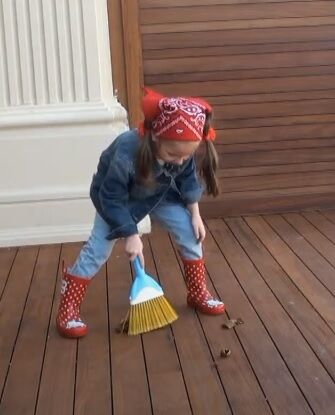 Pratik El Süpürgesi 28 cm - Lisinya