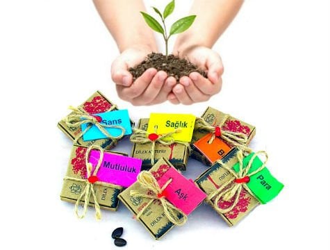 Dilek Tohumları - Aşk - Lisinya Dilek Tohumları - Aşk - Lisinya