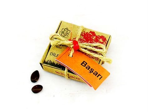 Dilek Tohumları - Başarı - Lisinya