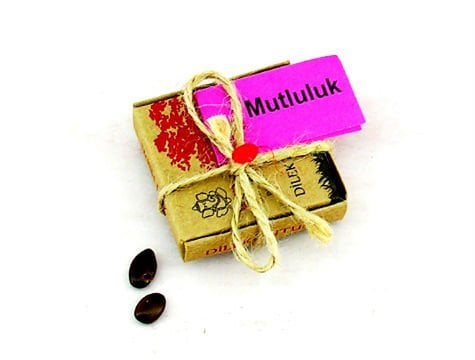 Dilek Tohumları - Mutluluk - Lisinya