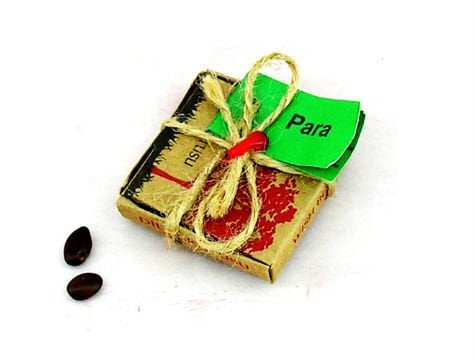 Dilek Tohumları - Para - Lisinya