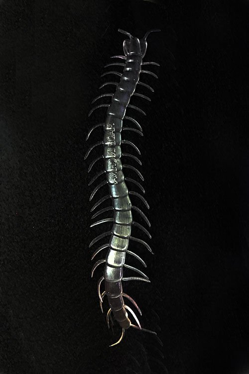 Şeffaf Renk Karanlıkta Parlayan Fosforlu Kırkayak 13 cm 1 Adet - Lisinya