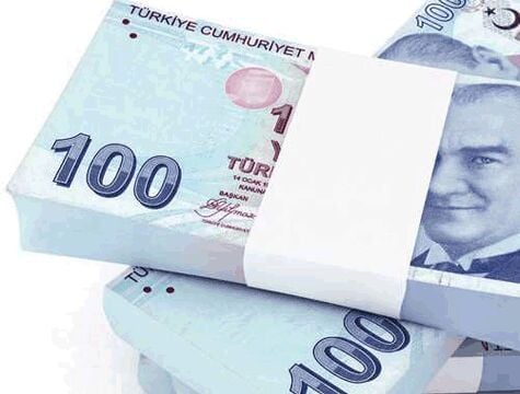 Düğün Parası - 100 Adet 100 TL - Lisinya