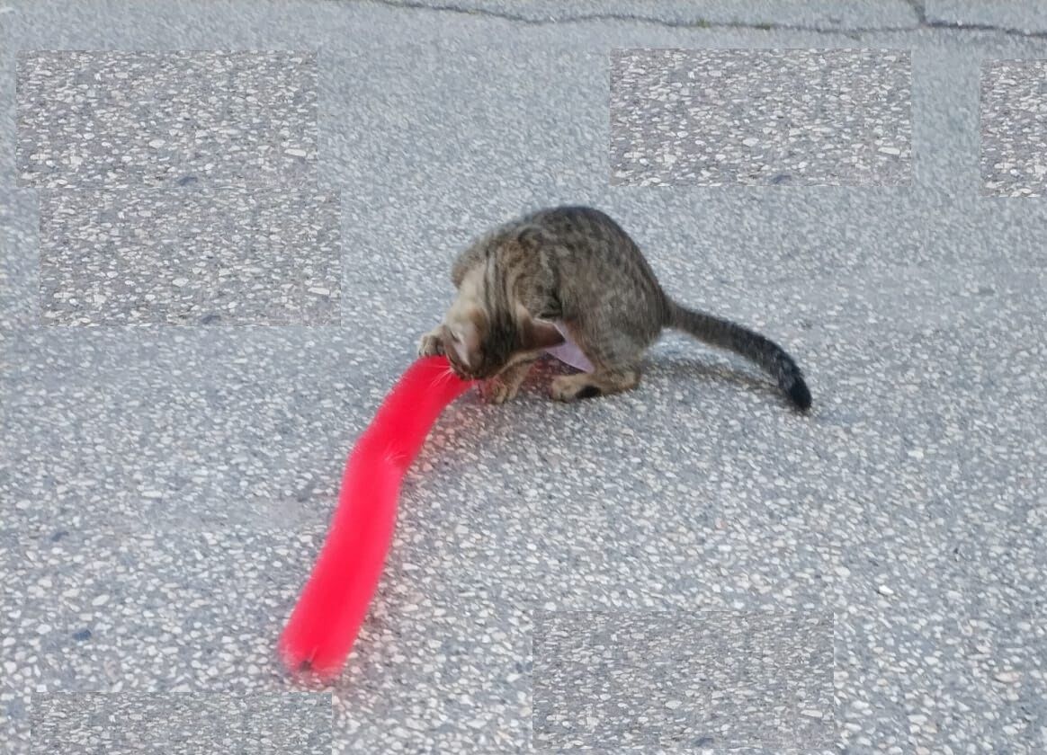 Kedi Tırmalama Fırçası - Kedi Oyuncağı - Lisinya