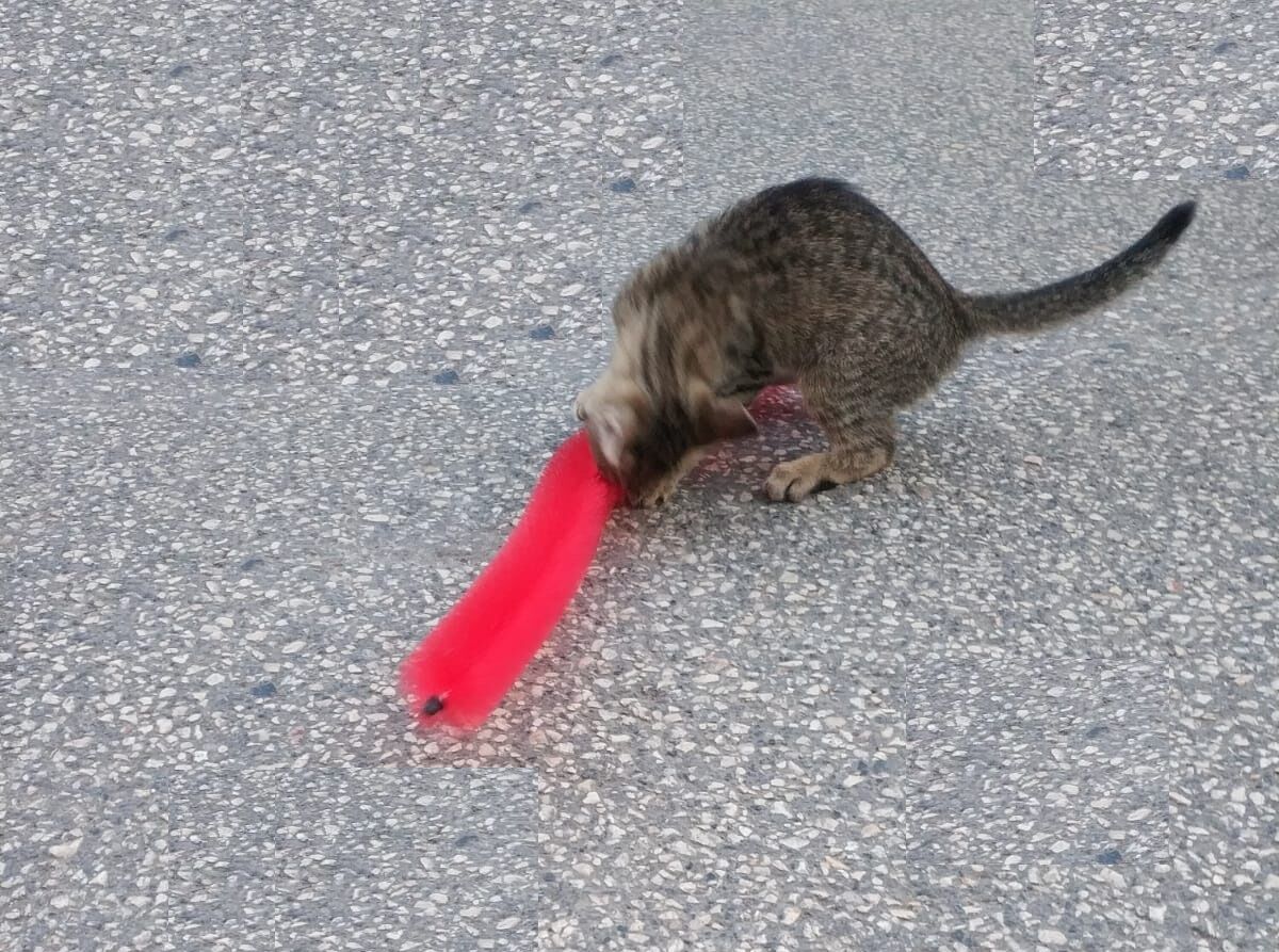 Kedi Tırmalama Fırçası - Kedi Oyuncağı - Lisinya