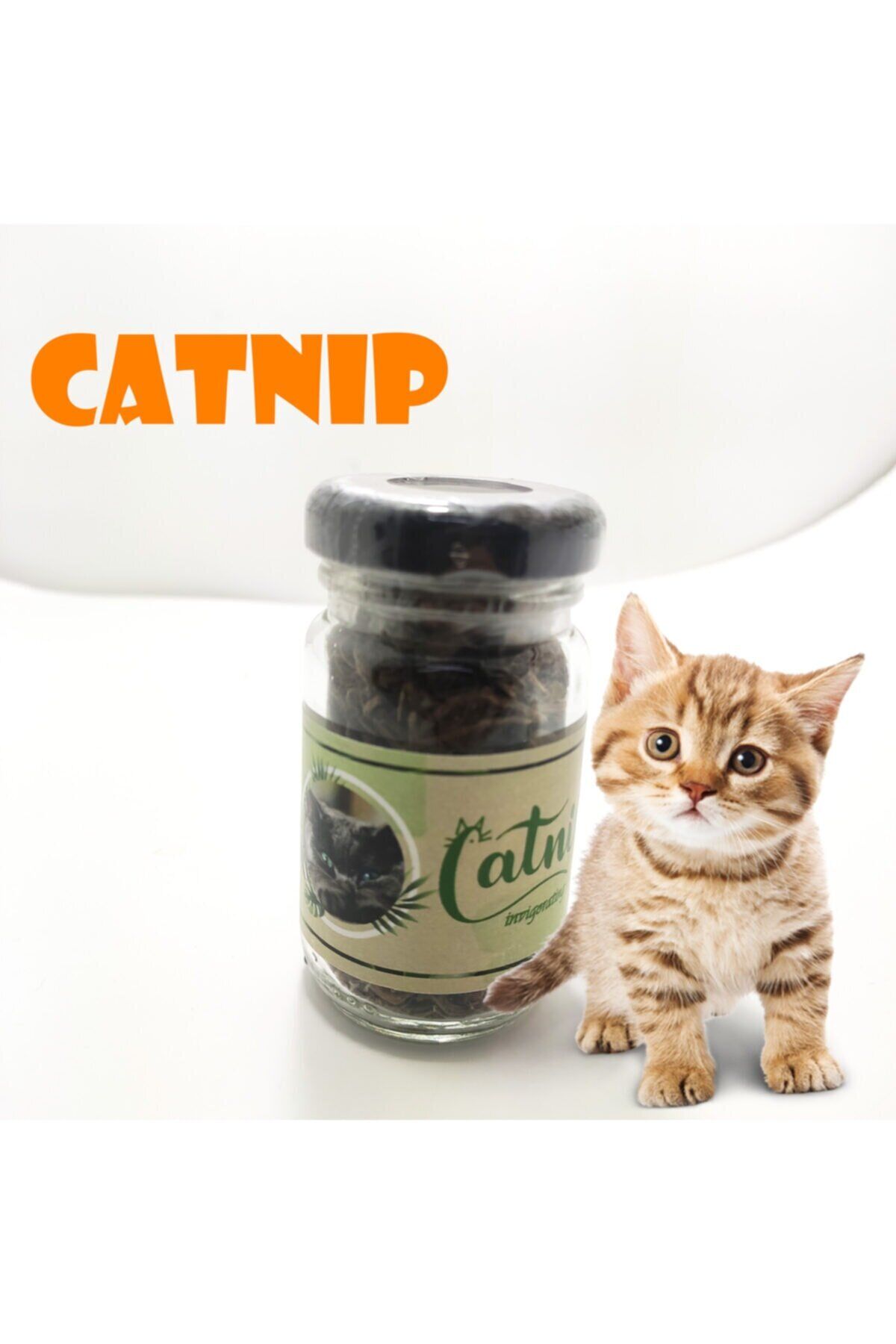 Catnip Doğal Kedi Otu - Kedi Nanesi - Lisinya Catnip Doğal Kedi Otu - Kedi Nanesi - Lisinya