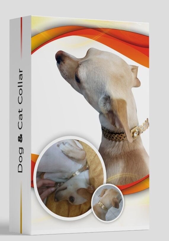 Ekolojik Tasma - Pire Tasması - 40 Cm - Lisinya