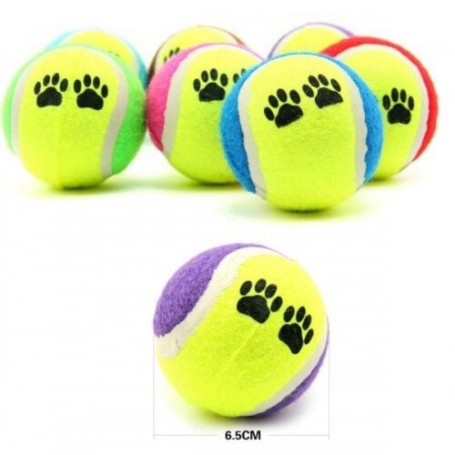 At Getir Köpek Eğitim Topu - Lisinya