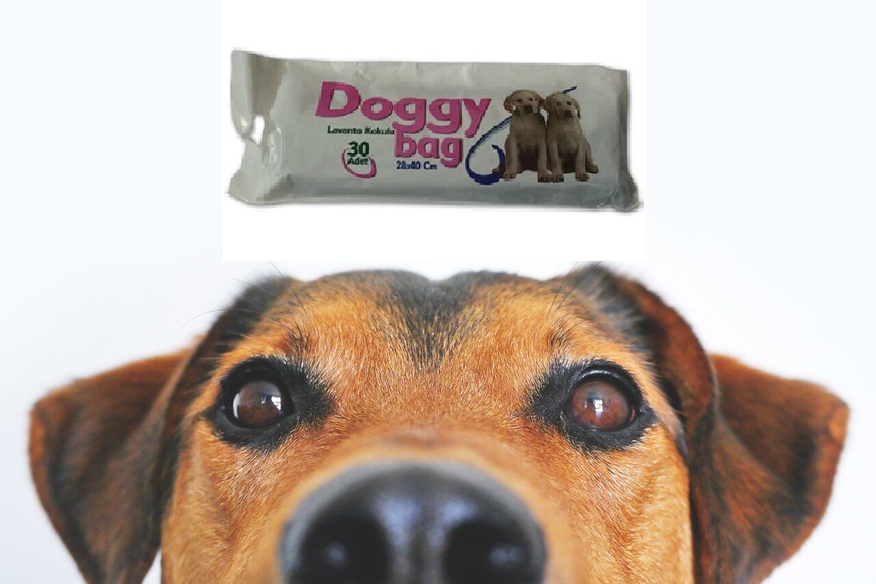 Lavanta Kokulu Kaka Poşeti - Lisinya