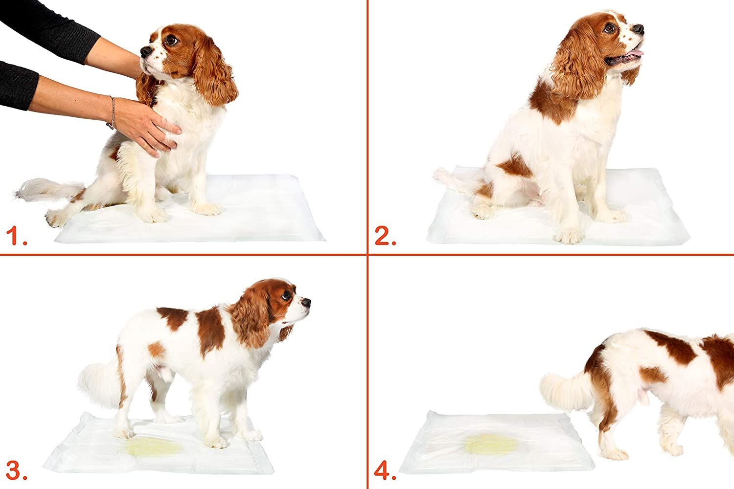 Yıkanabilir Köpek Çiş Pedi - 100 X 100 Cm 5li Paket - Lisinya