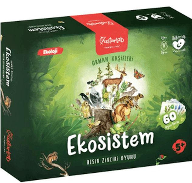 Ekosistem Besin Zinciri Kutu Oyunu Midi Ekosistem Besin Zinciri Kutu Oyunu Midi