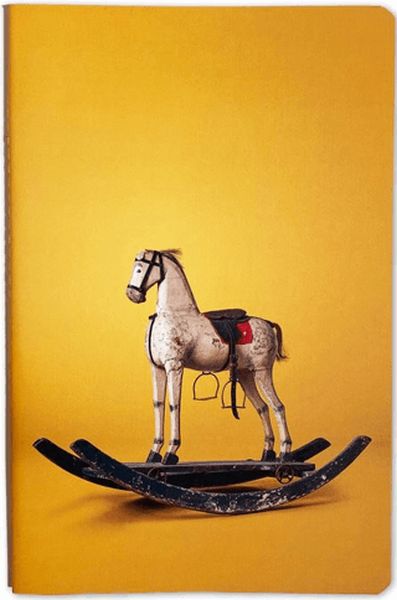 Nesin Defter - Sallanan At Nesin Defter - Sallanan At