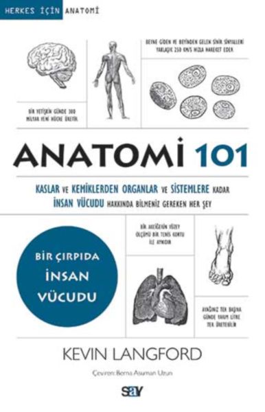 Anatomi 101 Anatomi 101